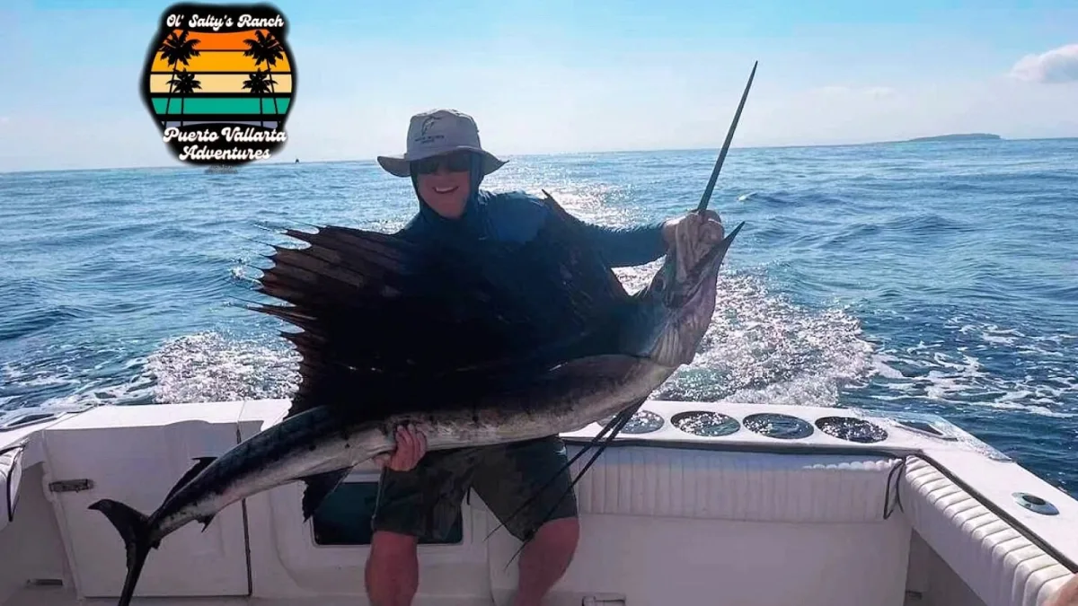 Pez vela levantado a bordo frente a la costa de Puerto Vallarta antes de ser liberado